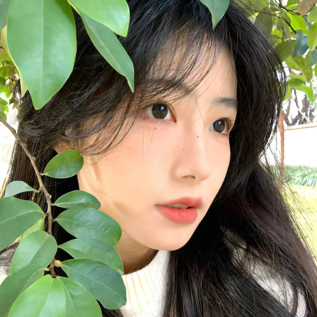 四朵花之家