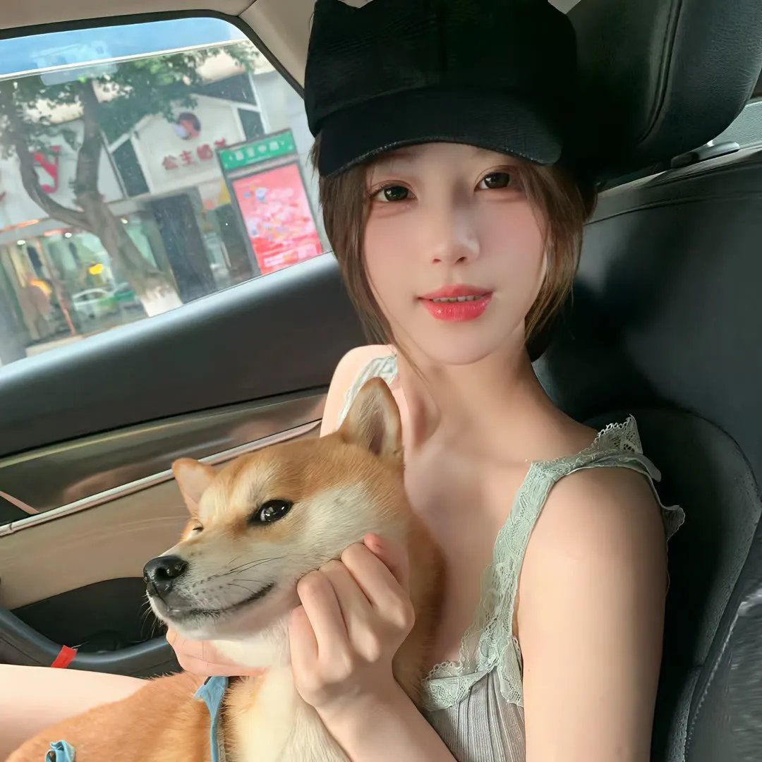 春满凤城