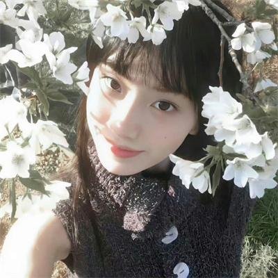 马戏团迷情